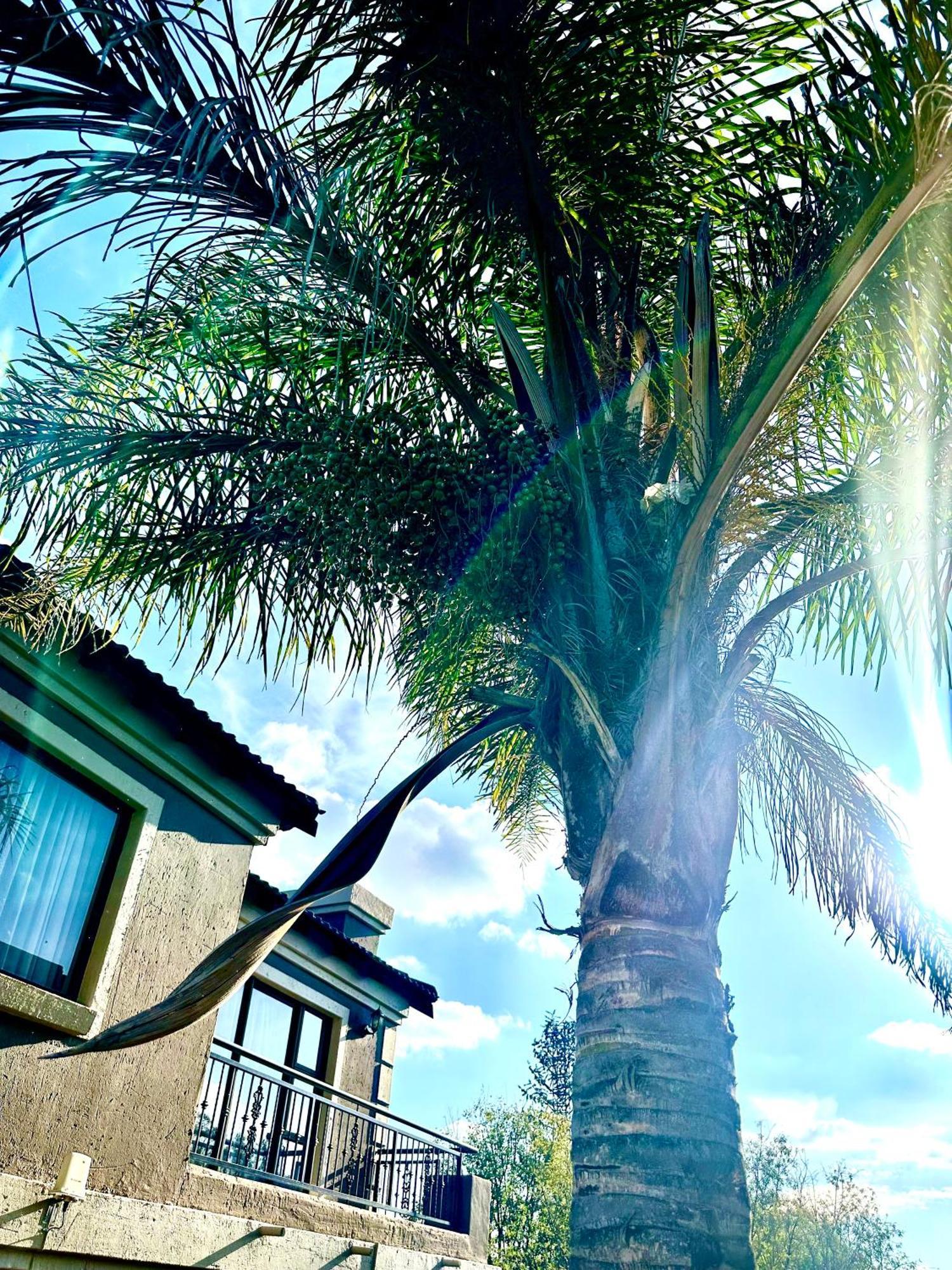 3 Bedroom In Secure Estate Loadshedding Free Casa de Férias *